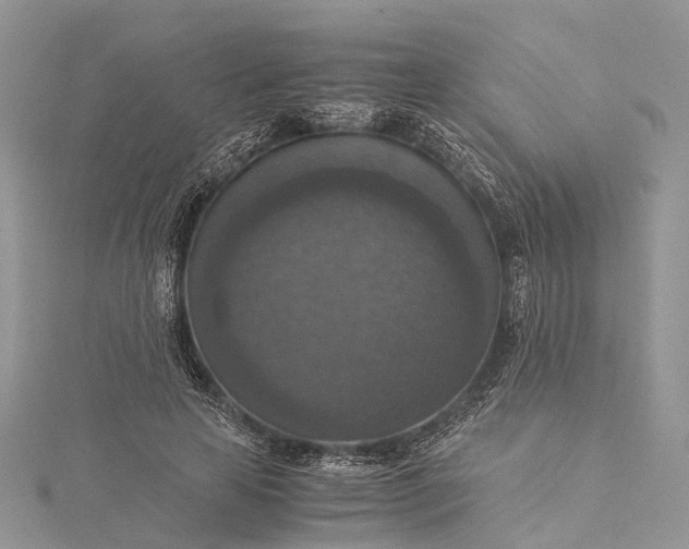 X0000115510641200911201639