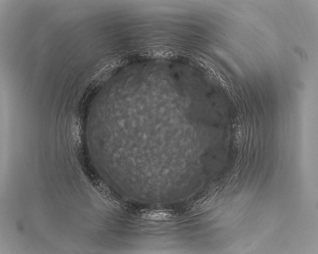 X0000115510643200911201639