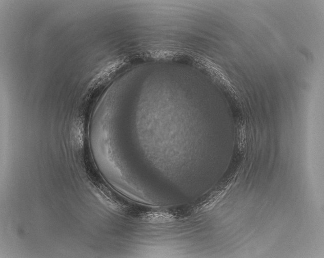 X0000115510644200911201639