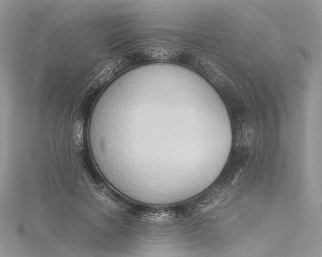 X0000115510646200911201639