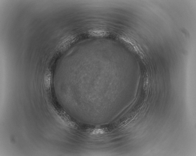 X0000115510647200911201639