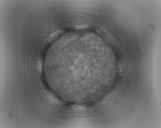 X0000115510648200911201639