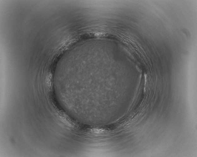 X0000115510650200911201639