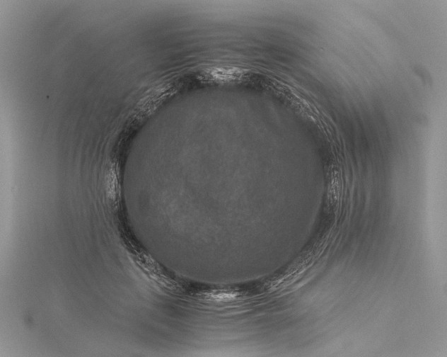 X0000115510651200911201639