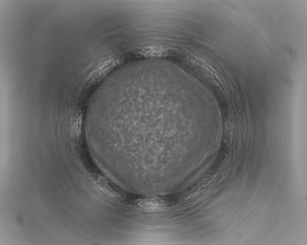 X0000115510652200911201639