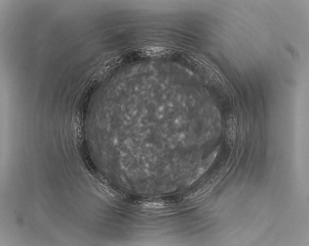 X0000115510653200911201640