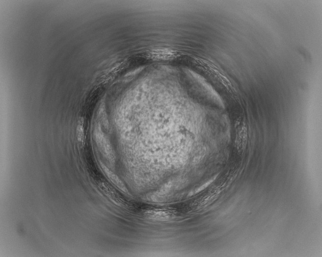 X0000115510655200911201640