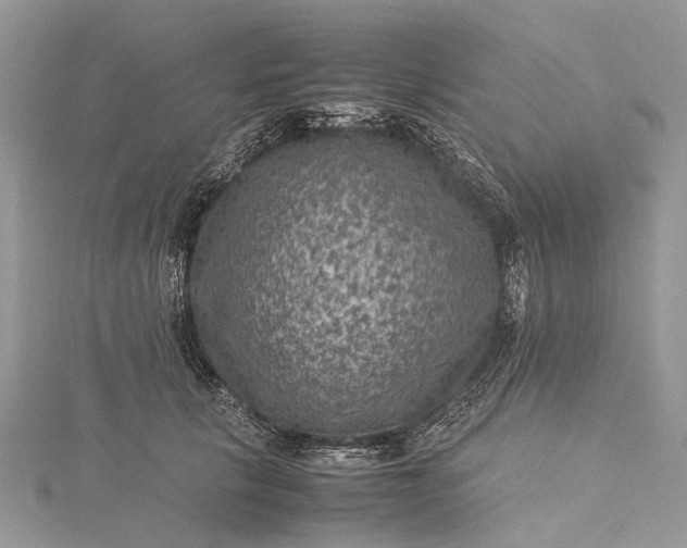 X0000115510657200911201640