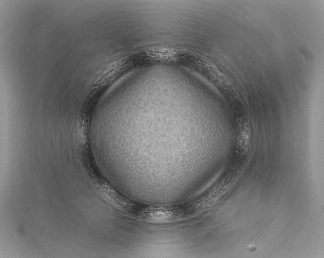 X0000115510658200911201640