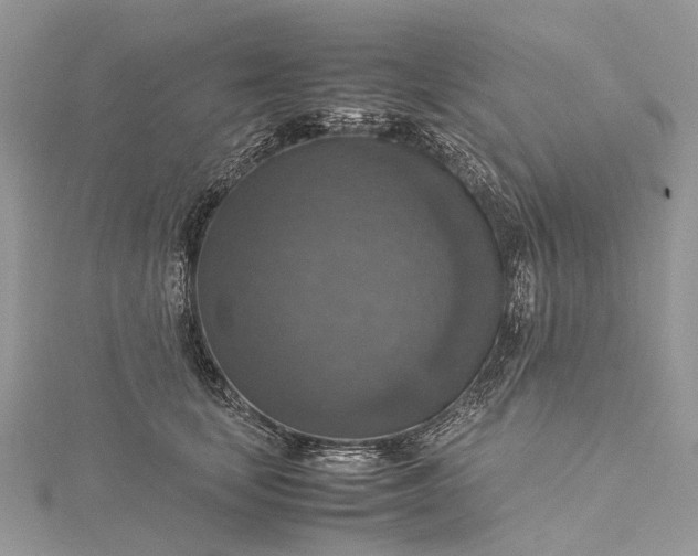 X0000115510659200911201640