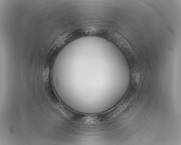 X0000115510660200911201640