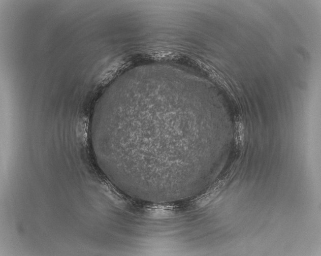 X0000115510664200911201640