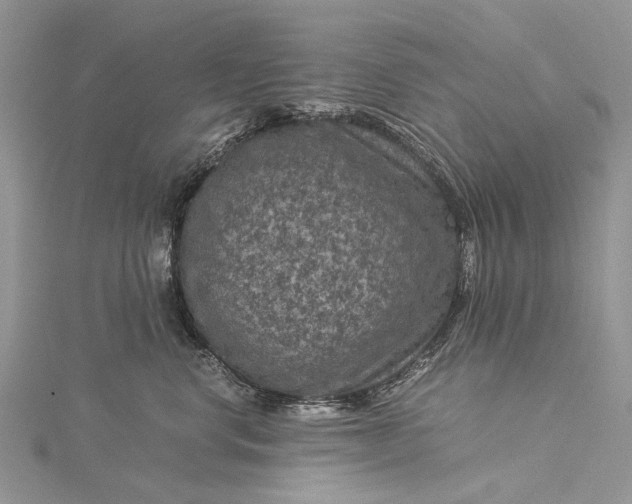 X0000115510668200911201640