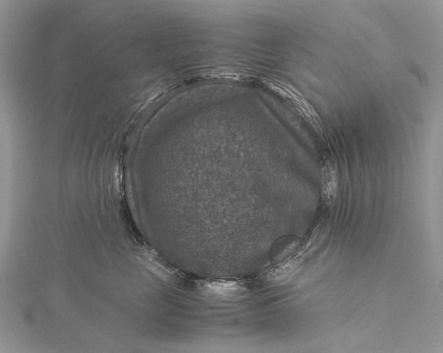 X0000115510669200911201640