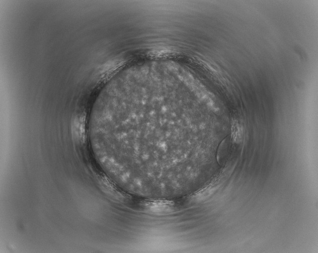 X0000115510670200911201640