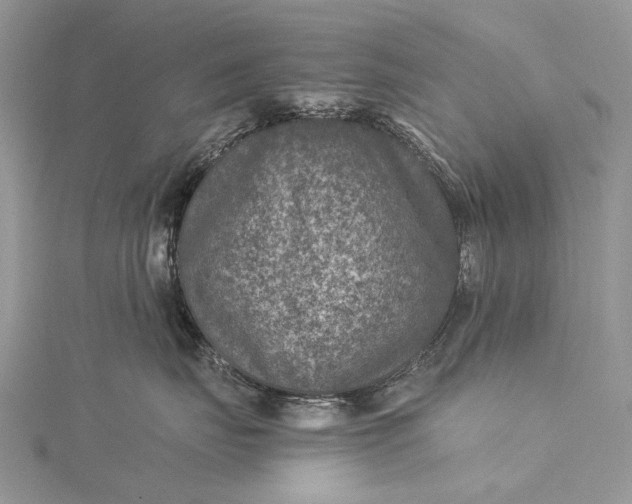 X0000115510671200911201640