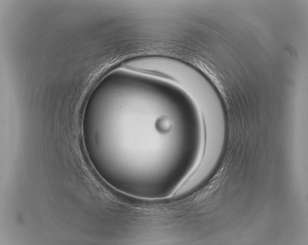 X0000115510673200911201639