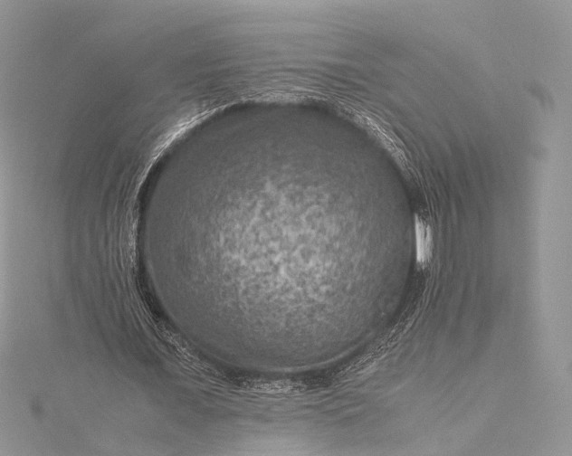 X0000115510675200911201639