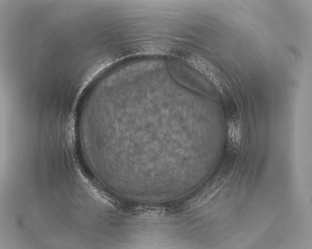 X0000115510676200911201639