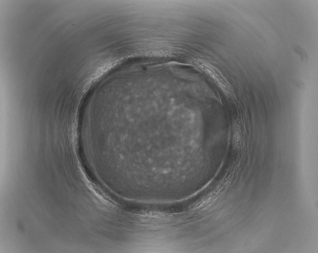 X0000115510677200911201639