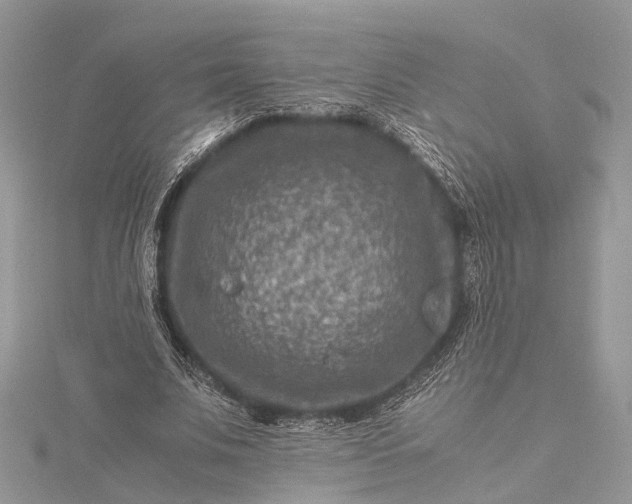 X0000115510679200911201639