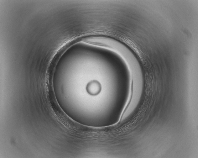 X0000115510680200911201639