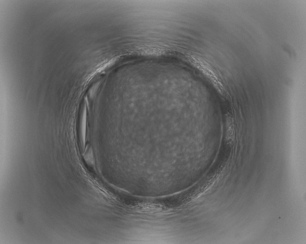 X0000115510681200911201639