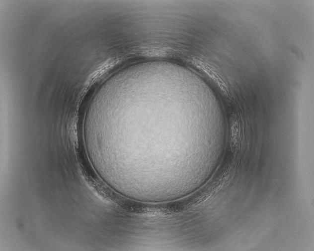 X0000115510682200911201639