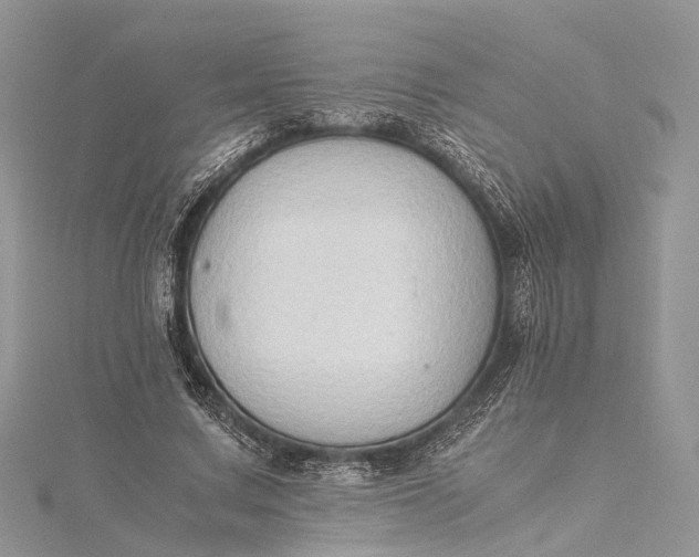 X0000115510683200911201639