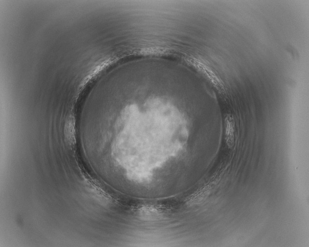 X0000115510684200911201639