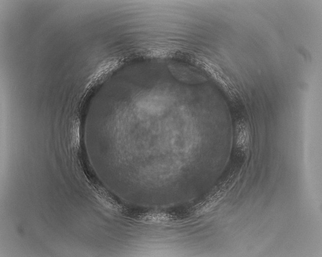 X0000115510685200911201639