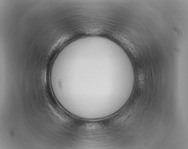 X0000115510686200911201639