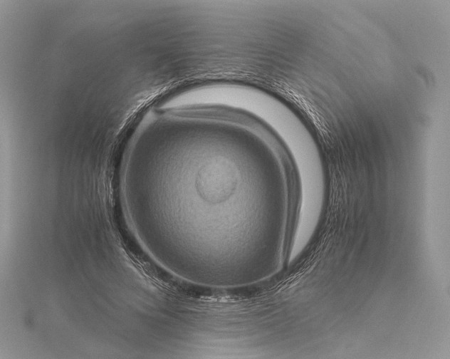 X0000115510688200911201639