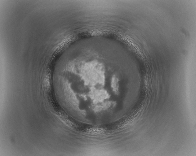 X0000115510691200911201639