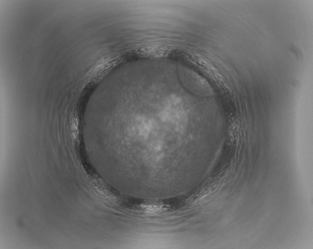 X0000115510693200911201639