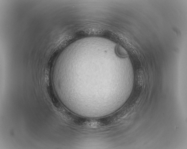 X0000115510695200911201639