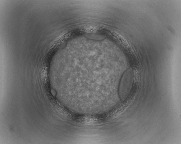 X0000115510697200911201639