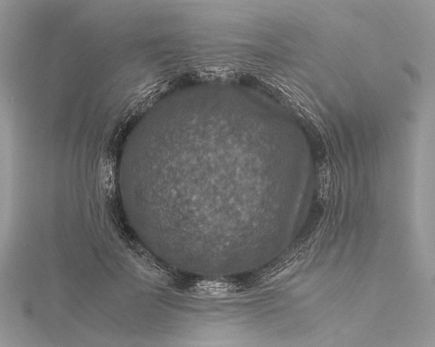 X0000115510699200911201639