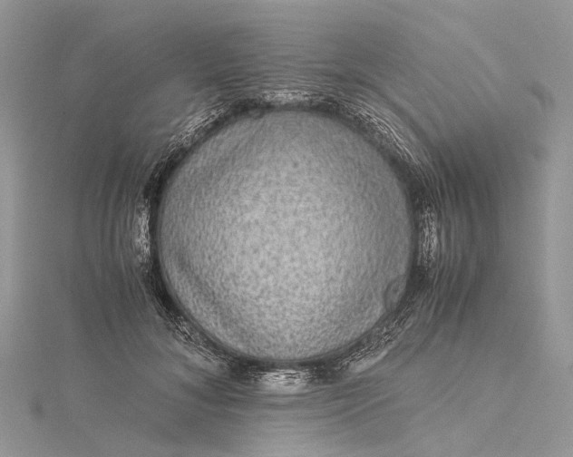 X0000115510700200911201639