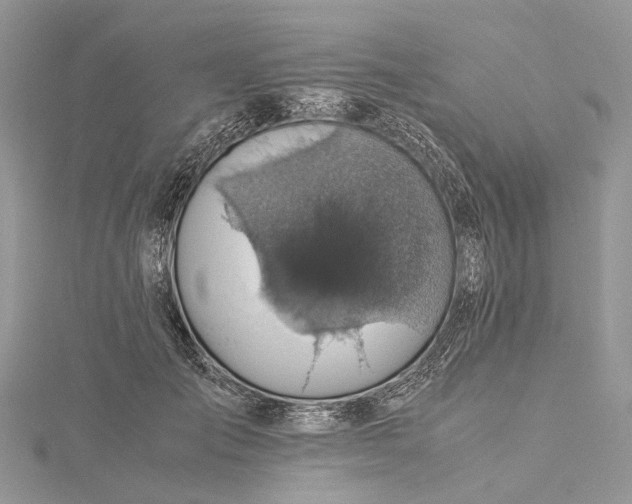 X0000115510701200911201639