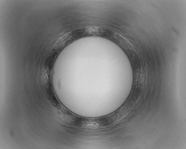 X0000115510702200911201639