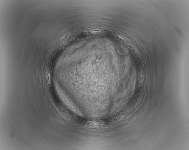 X0000115510703200911201639