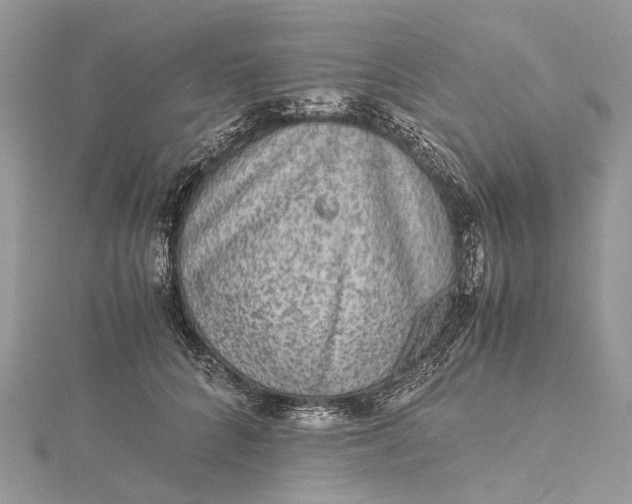 X0000115510704200911201639