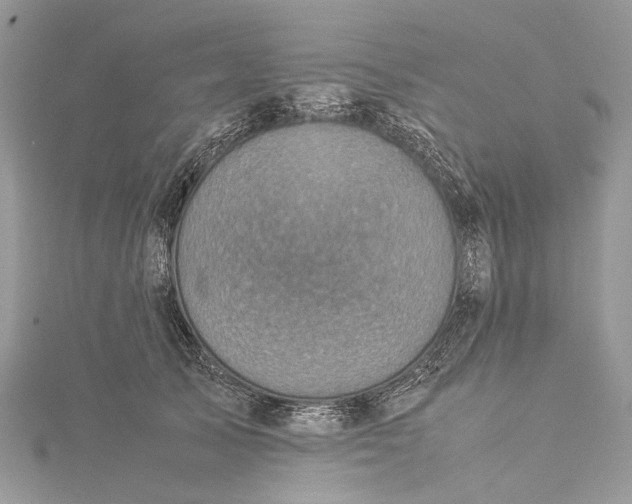 X0000115510705200911201639