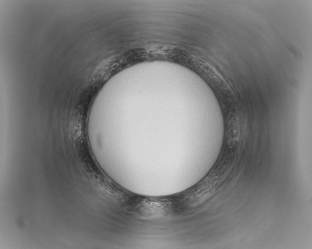 X0000115510706200911201639