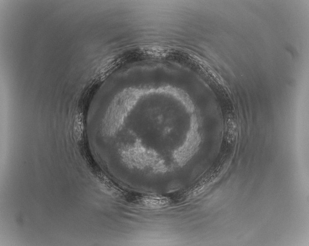 X0000115510707200911201639