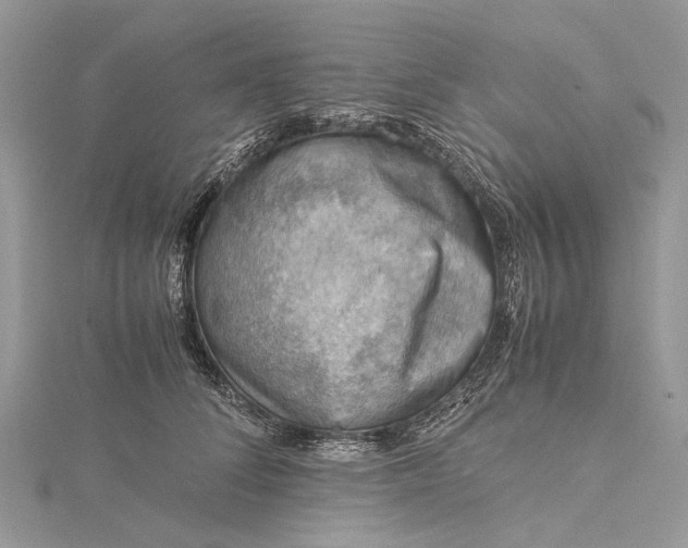 X0000115510708200911201639