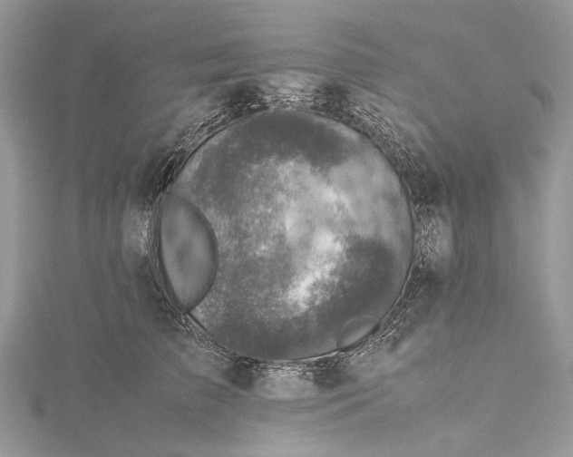 X0000115510709200911201639