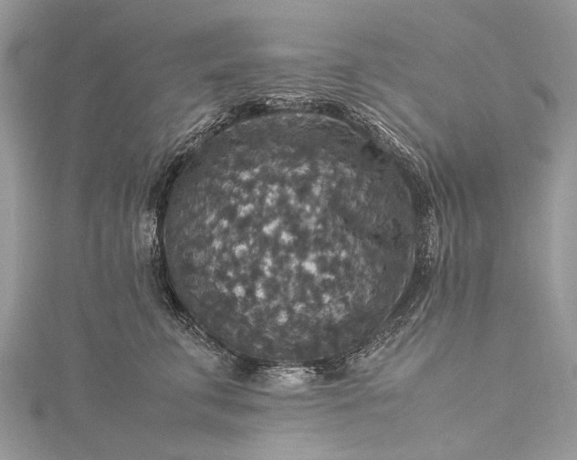 X0000115510711200911201639