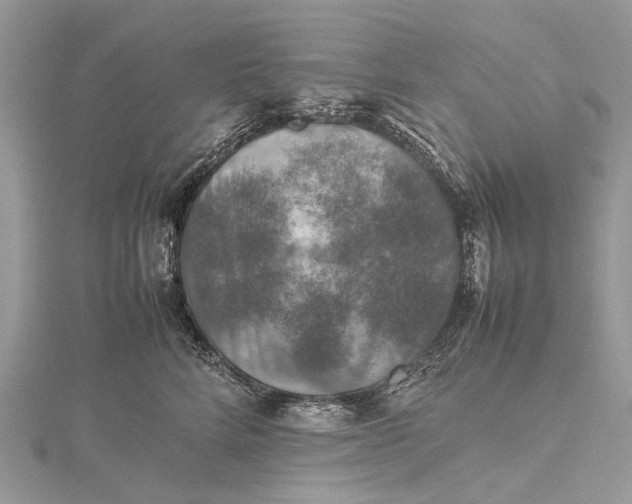 X0000115510712200911201639